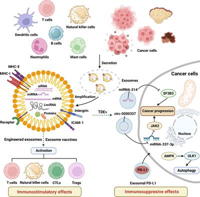 Recent advances in exosome-based immunotherapy applied to cancer